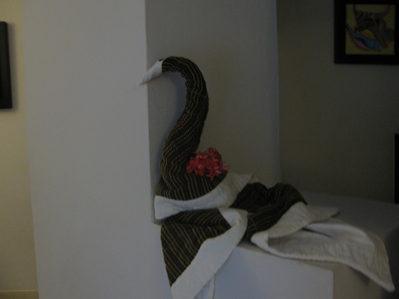 Dominican Republic 317.jpg